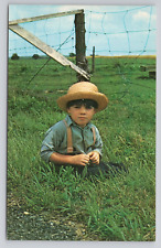 Pennsylvania Dutch Country Postcard 3036 picture