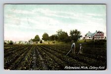 Kalamazoo MI-Michigan, Men Working in Celery Field, Antique Vintage Postcard picture