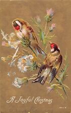 Gold Finches Perched on Thistles on 1910 Christmas Postcard - No. 3510 picture