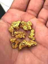 5 pounds bulk sample bag UNSEARCHED PAYSTREAK gold paydirt  LOADED WITH NUGGET picture