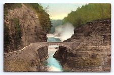 Postcard Bridge Lower Falls Letchworth State Park Castile New York NY Albertype picture