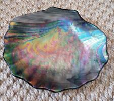 Shell Shaped Glass Abalone Iridescent Sheen Shallow Trinket Dish/Soap Dish  picture