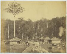 Hope Town Andaman Islands c1880s Photo - Huts & Small Pier  picture