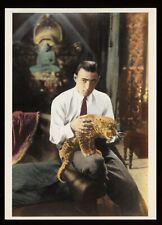 Rudolph Valentino Actor Hollywood Movie Cinema Film Postcard picture