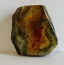Amazing Green Gold Brown Beige Detailed AZ Petrified Wood Rough & Polished 12 oz picture