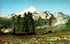 Postcard Mount Baker in Mount Baker National Forest WA Washington 1950     K-776 picture