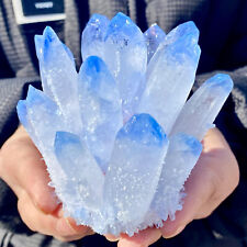 464G New Find Blue Phantom Quartz Crystal Cluster Mineral Specimen Healing. picture