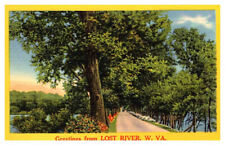 Postcard ROAD SCENE Lost River West Virginia WV 6/7 AU9582 picture