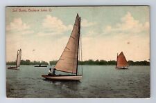 Buckeye Lake OH-Ohio, Sail Boats on Lake, Antique Vintage Card Souvenir Postcard picture