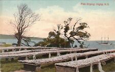 Postcard Fish Drying Digby NS Canada picture