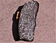 NWA 13447 (H3) - 7.0 gram meteorite slice - ARMOURED CHONDRULES  picture