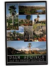 Vintage Postcard of Palm Springs and the Desert Resorts - Western Resort picture
