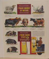 Original 1948 Ethyl Gasoline Magazine Ad with Farm Animals picture