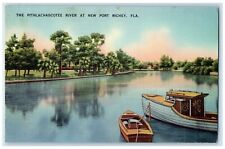 c1930's The Pithlachascotee River At New Port Richey Florida FL, Boat Postcard picture