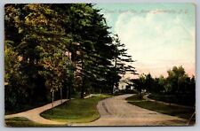 Lowell Road Cor. Avon Schenectady New York—Antique German Postcard early 1900’s picture