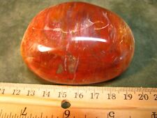 6.4oz 73mm 184g POLISHED PETRIFIED WOOD PALM STONE MADAGASCAR PURPLE/BROWNS/REDS picture