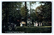 1912 At the Dog Show Fountain Park Piqua OH Ohio Early Postcard View picture