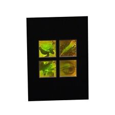 3D Nature 4-up 2-Channel Hologram Picture MATTED, Polaroid Photopolymer Film picture