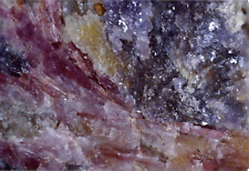 West Australian Morganite, Lepidolite & Cleavelandite - Specimen - Mount Holland picture