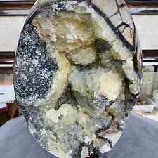Natural Dragon Septarian Geode Egg Quartz Crystal Rock Reiki Healing 4351G picture