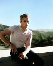 Rebel Without a Cause James Dean in white t-shirt Griffith Park 24x36 Poster picture