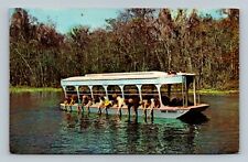 Postcard Florida's Silver Springs Glass Bottom Boats Hand Feeding Fish  picture