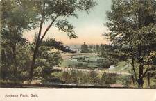 Vintage Postcard Scenic View Jackson Park Galt Ontario Canada picture
