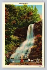 NC-North Carolina, Cascade Falls, Antique, Vintage Souvenir Postcard picture