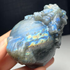 327g Natural Crystal Specimen. labradorite . Hand-carved dragon turtle.Gift.RW picture