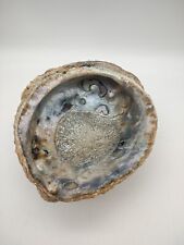 Natural Abalone Shell Large Nice  Seashell   Iridescent  picture