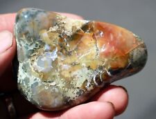 Dinosaur Coprolite (Poop) • Tumbled Palm Stone 4.6 oz. picture
