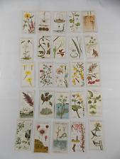 Players Cigarette Cards Struggle for Existence 1923 Complete Set 25 picture
