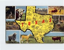Postcard Texas Map, Landmarks and Animals Texas USA picture