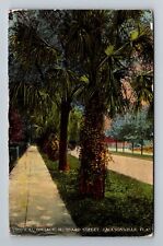 Jacksonville FL-Florida Tropical Foliage Hubbard Street c1913 Vintage Postcard picture