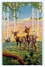 Springtime Deer Sunset White Birch View  - Artist Card Dot Larsen Cowboy Artist  picture