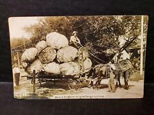 Unposted Antique Copyright RPPC Photo 1908 by WH Mortin Here We Grow LRG Cabbage picture