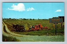 Intercourse PA-Pennsylvania, Farmer & Horses Baling Hay Vintage Postcard picture