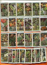 1924 W.D. & H.O. WILLS CIGARETTES FLOWERING TREES & SHRUBS 50 CARD SET picture