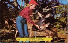 Vinage1950s CANON CITY Colorado Greetings Postcard Woman Feeding Deer / Rembrant picture