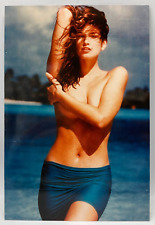 Celebrity Photo ~ Cindy Crawford ~ 4 x 6 picture