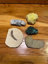 Bundle of different rocks, minerals, and fossils great for beginners picture