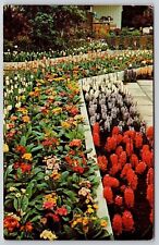Spring Flower Show Phipps Conservatory Pittsburgh PA Pennsylvania Postcard UNP picture