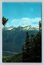 Olympic National Park WA, Mt Olympus, High Divide, Washington Vintage Postcard picture