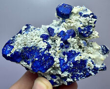 274 Gram Royal Blue Lazurite Huge Crystals With Forsterites,Pyrites On Matrix@AF picture