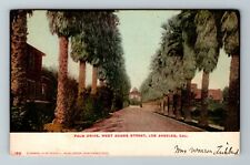 Los Angeles CA-California, Palm Drive, West Adams Street, Vintage Postcard picture