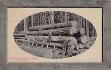UP TO DATE METHOD OF LOGGING IN THE WEST~1918 WASHINGTON DPO PSMK PHOTO POSTCARD picture