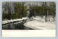 Coldwater MI, Winter Scene, Watson's Woods, Michigan Vintage Postcard picture