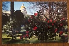Postcard PM 1959 State Capitol Park Camellia Capital of the World Sacramento CA picture