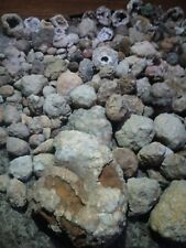 Kentucky Geodes/Nodules Quartz 5 Lb Lot Unopened/Broken Mixed Small-med Size picture