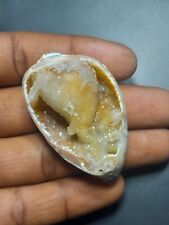 Natural Druzy shell Agate Fancy Loose Gemstone  spiralite sea shell 54×33×22MM picture